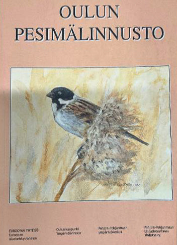 Oulun pesimälinnusto - 2004