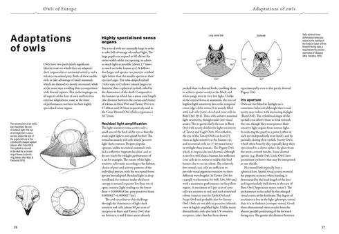 Owls of Europe - Biology, Identification and Conservation - Scherzinger, W. Mebs,T. 2024