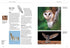 Owls of Europe - Biology, Identification and Conservation - Scherzinger, W. Mebs,T. 2024