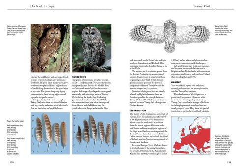 Owls of Europe - Biology, Identification and Conservation - Scherzinger, W. Mebs,T. 2024