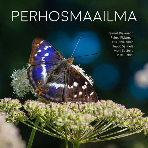 Perhosmaailma - Reima Flyktman, ym. 2025
