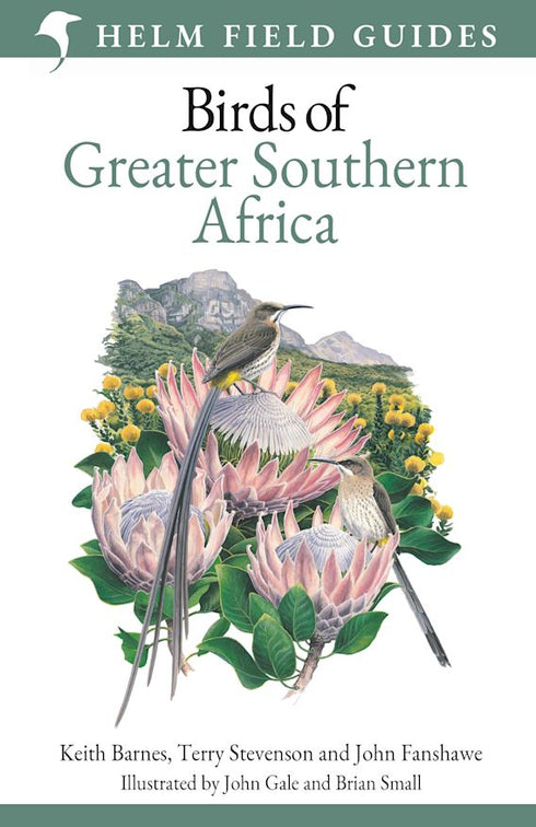 Field Guide to Birds of Greater Southern Africa - Barnes, K. ym 2024
