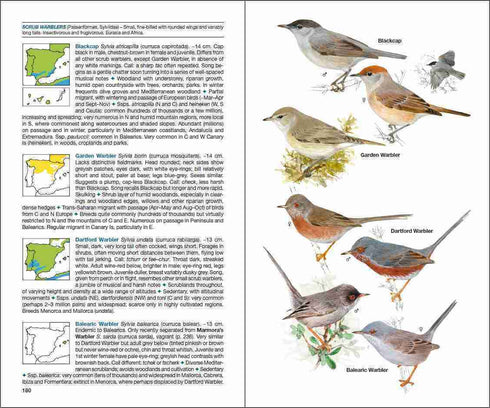 Birds of Spain, Juona / Varela 2017