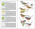 Birds of Spain, Juona / Varela 2017