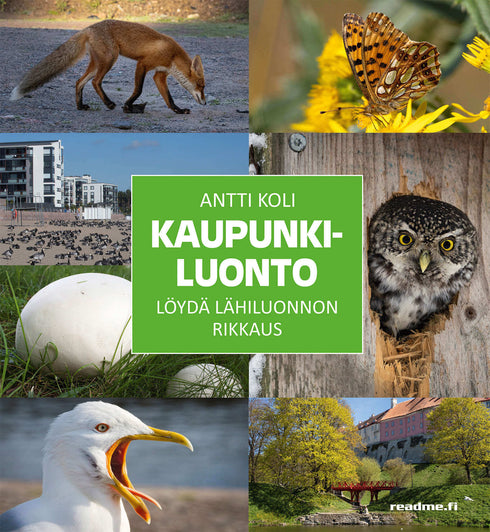Kaupunkiluonto - Koli, 2023