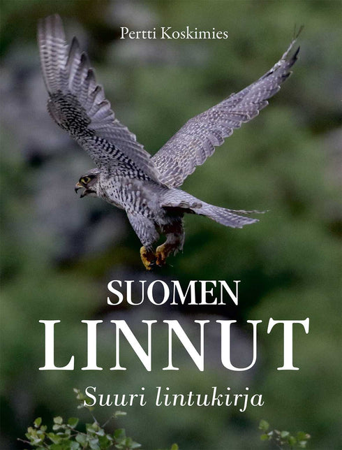 Suomen linnut Suuri lintukirja ( Koskimies, P. 2024 )