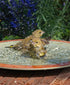 Kylpy Any Place Bird Path - linnuille ja pikkueläimille