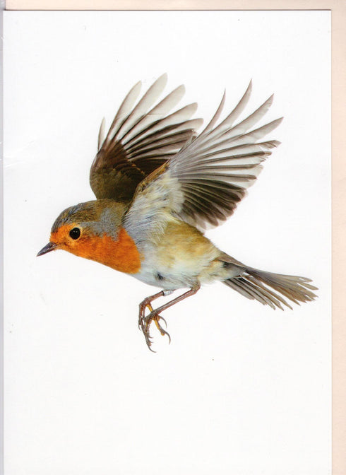 Postikortti, punarinta, Sanna Kannisto