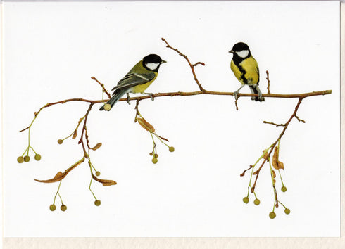 Postikortti, talitiaiset, Sanna Kannisto