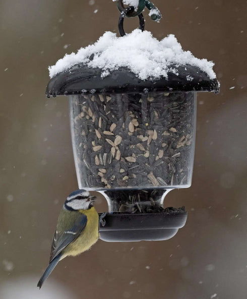 Ruokinta-automaatti Little Lantern