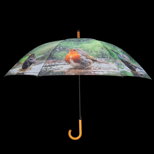 Lintuaiheinen sateenvarjo, vihreä, kylpevät linnut TP414
