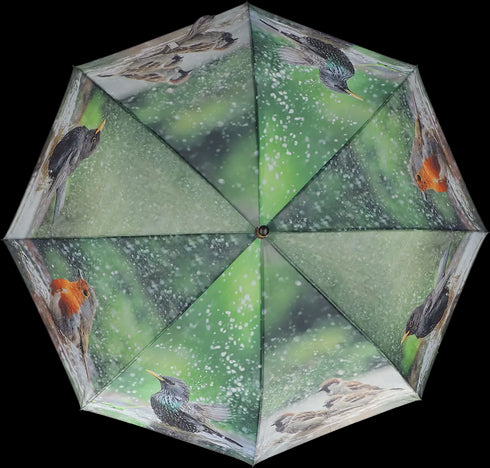Lintuaiheinen sateenvarjo, vihreä, kylpevät linnut TP414