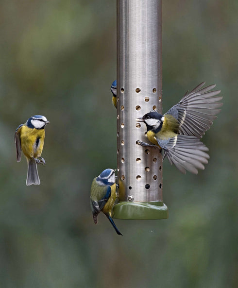 Ruokinta Ring-Pull Click Peanut Plus, pähkinöille