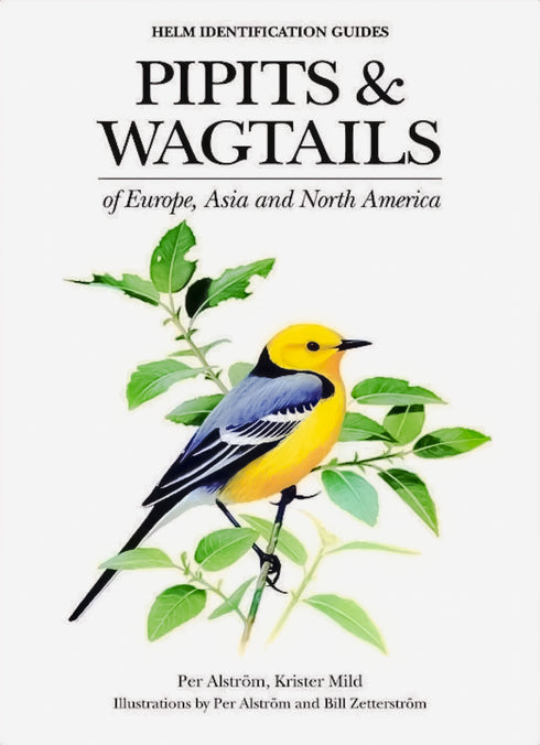Pipits & Wagtails of Europe, Asia and North Africa - Alström, P. 2003