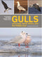 Gulls of Europe, North Africa, and the Middle East: An Identification Guide - Adriaens, P. 2021