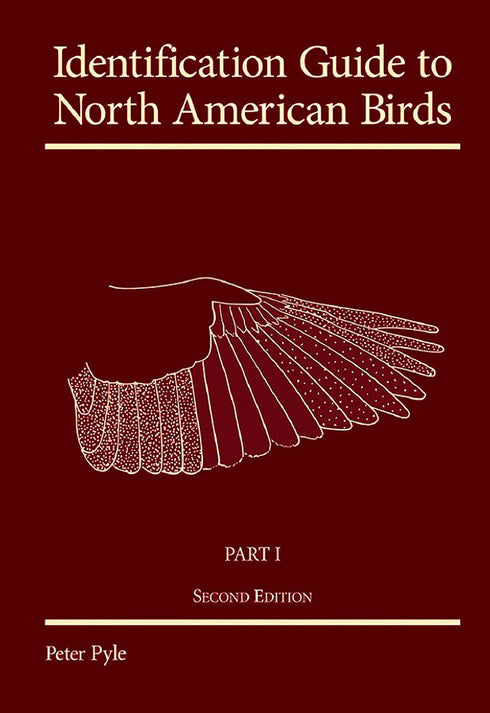 Identification Guide to North American Birds Part I, second edition - Pyle, P. 2023