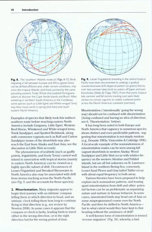 Rare Birds of North America - Howell, S.N.G. ym. 2014