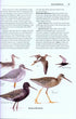 Rare Birds of North America - Howell, S.N.G. ym. 2014