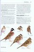 Rare Birds of North America - Howell, S.N.G. ym. 2014
