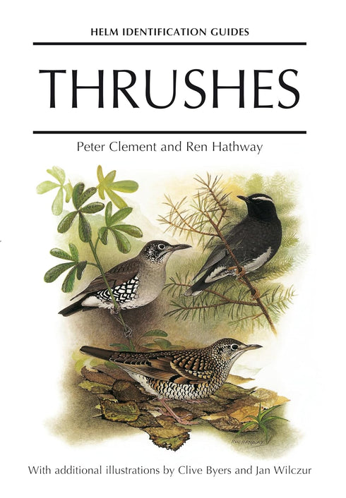 Thrushes - Clement,P. 2000