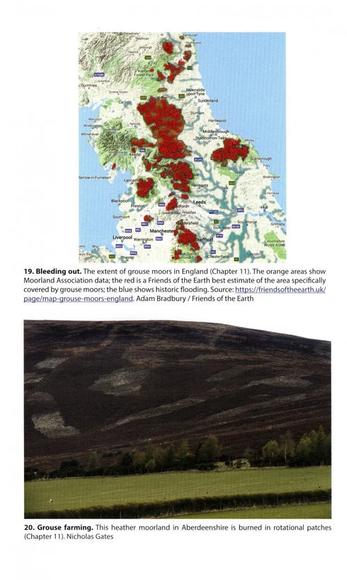 Rebirding Restoring Britain’s Wildlife - MacDonald 2020