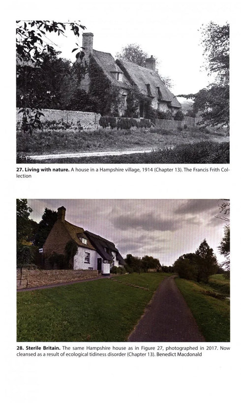 Rebirding Restoring Britain’s Wildlife - MacDonald 2020