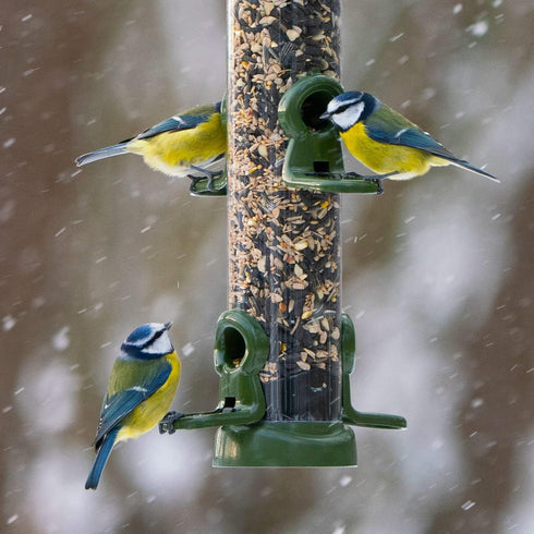 Ruokinta Ring Pull Click medium siemenille - 4 ruokinta-aukkoa