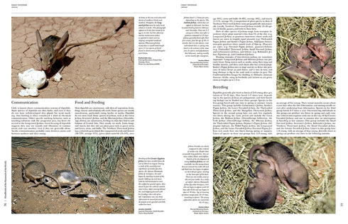 Handbook of the Mammals of the World no 7 - Rodents II - Lynx 2017