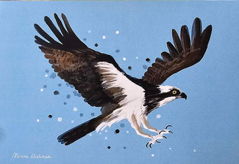 Postikortti, sääksi