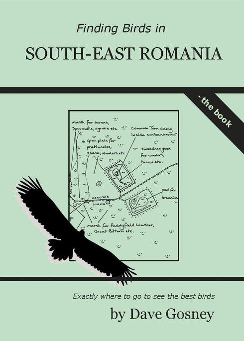 Finding Birds in Romania - Dave Gosney 2019