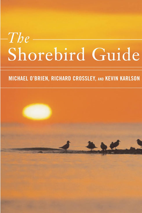 Shorebird Guide - GB versio - O’Brien,M. 2007