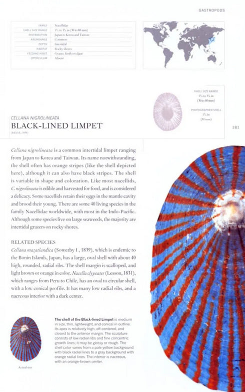 The Book of Shells. A lifesize guide to identifying and classifying six hundred shells - Harasewych,J. 2010