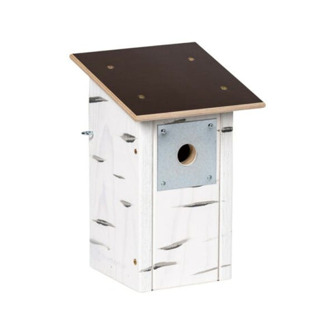 Linnunpönttö sinitiainen - koivunvärinen