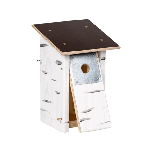 Linnunpönttö sinitiainen - koivunvärinen