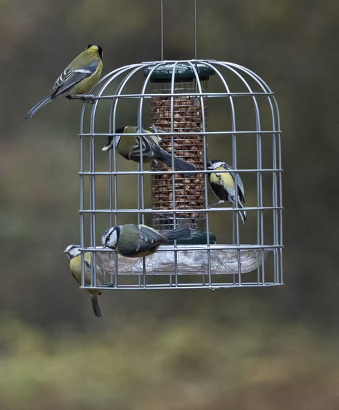 Ruokinta, Birdfeeder Guardian, small - ruokintaa suojaava häkki