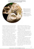 Snakes of the World: A Guide to Every Family (Mark O'Shea 2023)