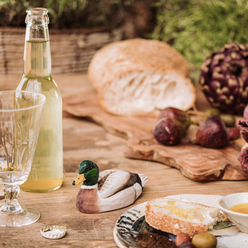 Pullonavaaja sinisorsa