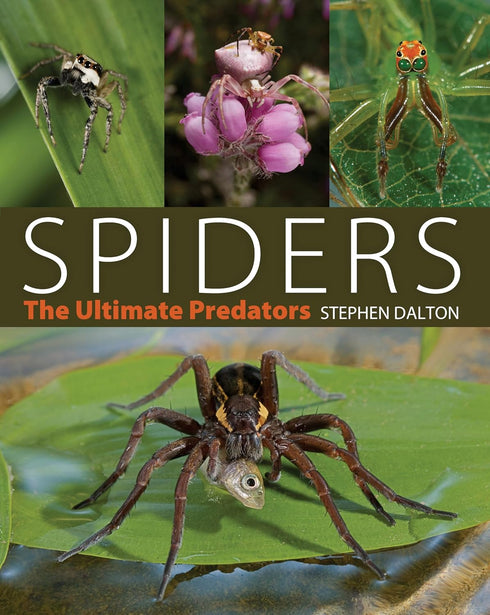 Spiders The Ultimate Predators - Stephen Dalton 2008