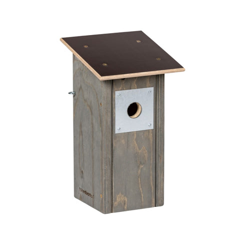 Linnunpönttö talitiainen / kirjosieppo - kelonharmaa