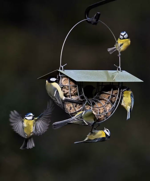 Ruokinta, Suet Ball Basket - talipalloille