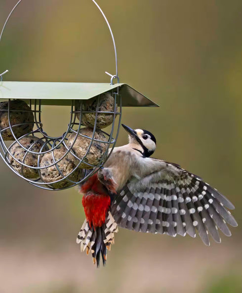 Ruokinta, Suet Ball Basket - talipalloille