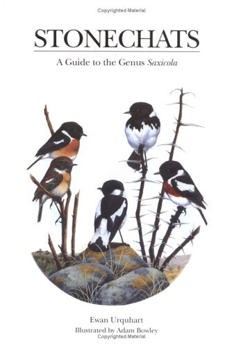 Stonechats; A Guide to the Genus Saxicola - Urquhart, E. 2002