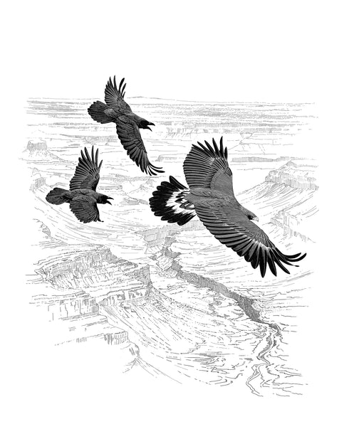 The Golden Eagle Around the World A Monograph on a Holarctic Raptor - Ellis, D. H. ym. 2024