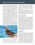 Terns of North America A Photographic Guide - Cameron Cox 2023