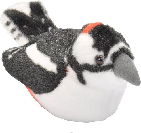 Käpytikka, ääntelevä pehmolintu / Wild Republic