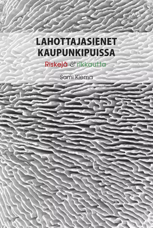 Lahottajasienet kaupunkipuissa - Kiema, S. 2023