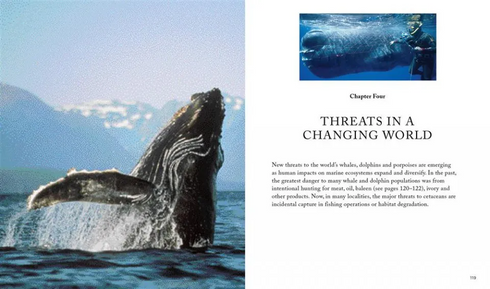 Whales & Dolphins of the World - Simmons,M. 2013