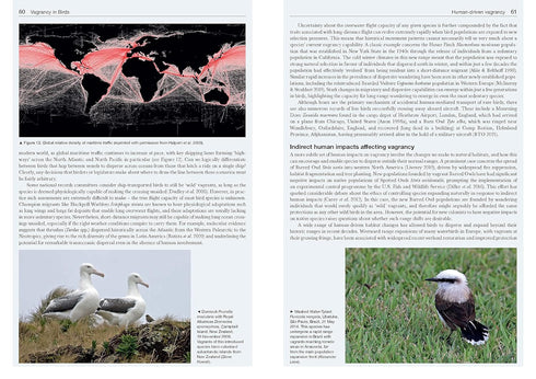 Vagrancy in Birds - Alexander Lees, James Gilroy 2021