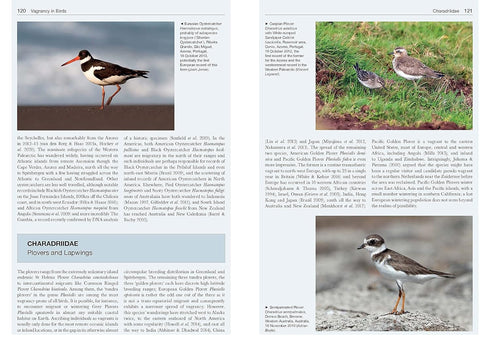 Vagrancy in Birds - Alexander Lees, James Gilroy 2021