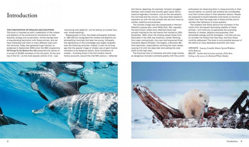 Whales & Dolphins of the World - Simmons,M. 2013